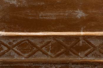040201_1942_0622_a__s.thb