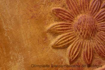 040201_1942_0630_a__s.thb