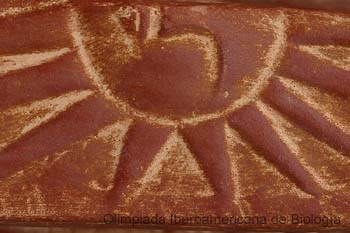 040201_1942_0633_a__s.thb