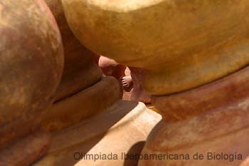 040201_1942_0634_a__s.thb