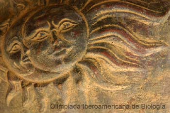 040201_1942_0638_a__s.thb