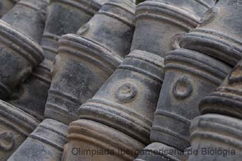 040201_1942_0646_a__s.thb