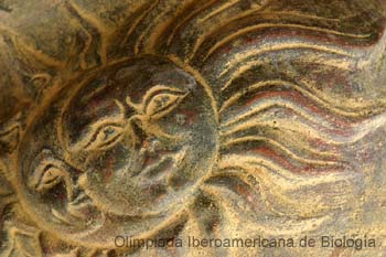 040201_1942_0651_a__s.thb