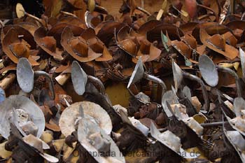 040201_1942_0713_a__s.thb