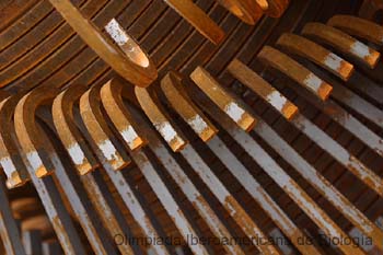 040201_1942_0721_a__s.thb