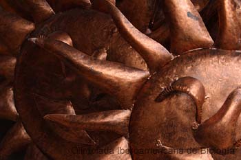 040201_1942_0729_a__s.thb