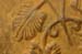 040201_1942_0637_a__s.thb