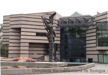 Amoxcalli_Biblioteca_Facultad_de_Ciencias_Alejandro_Martinez_Mena