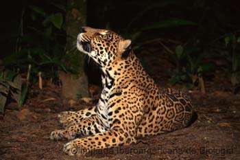 5394_050907_71114.thb