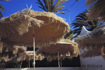 000802_c893_0035_c__s.thb