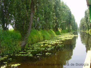Chinampas_de_Xochimilco_Roberto_Enrique_Sierralta