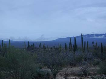 Desierto_Baja_California