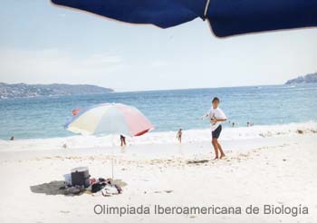 Playa_Acapulco