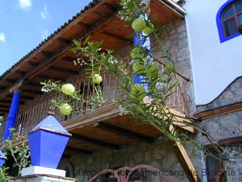 Tequisquiapan