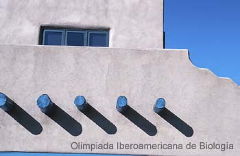 010309_0800_1141_n__s.thb