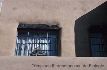 010309_0800_1144_n__s.thb