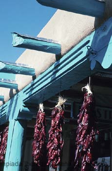 010309_0800_1146_n__s.thb