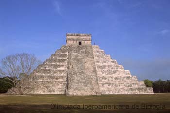 5394_050908_72233.thb