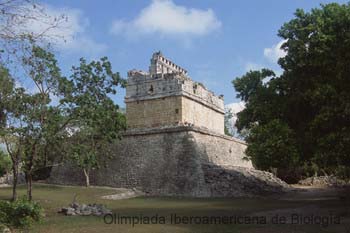 5394_050908_72238.thb