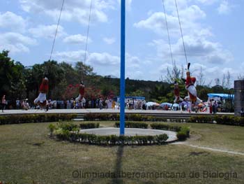 Voladores_Tajin_Ver