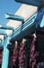010309_0800_1146_n__s.thb